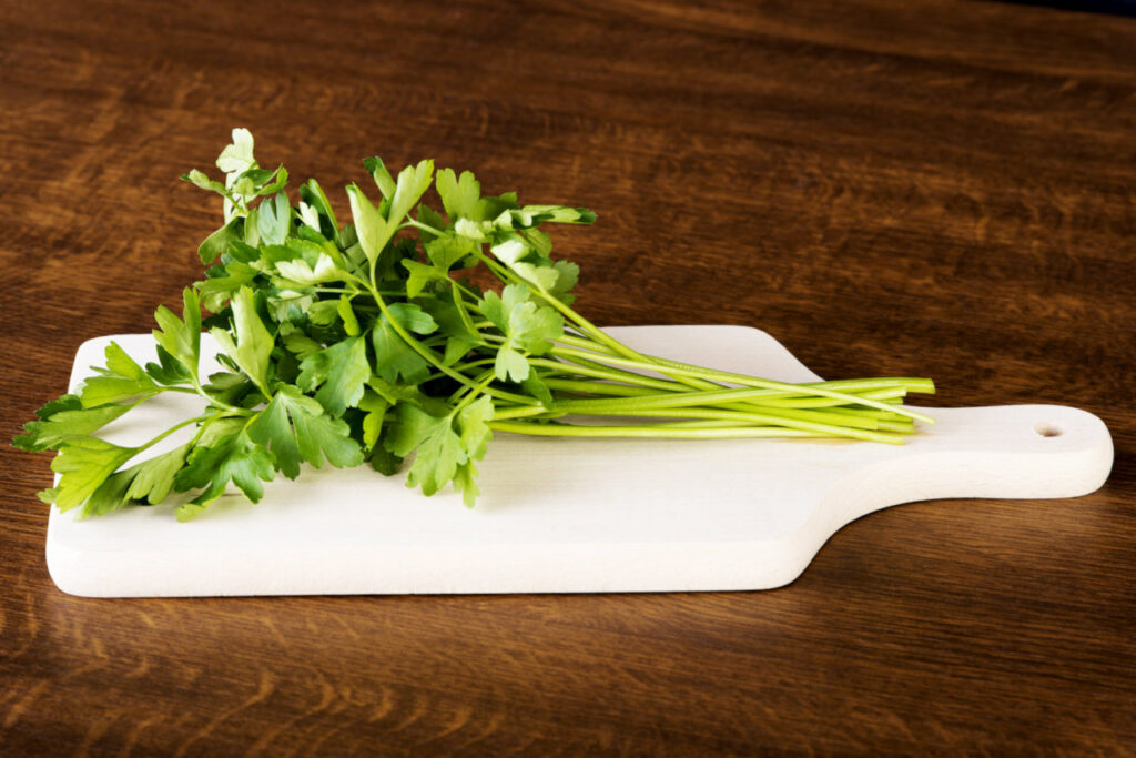 How to Cut Parsley Properly ⋆ Gardening Champion