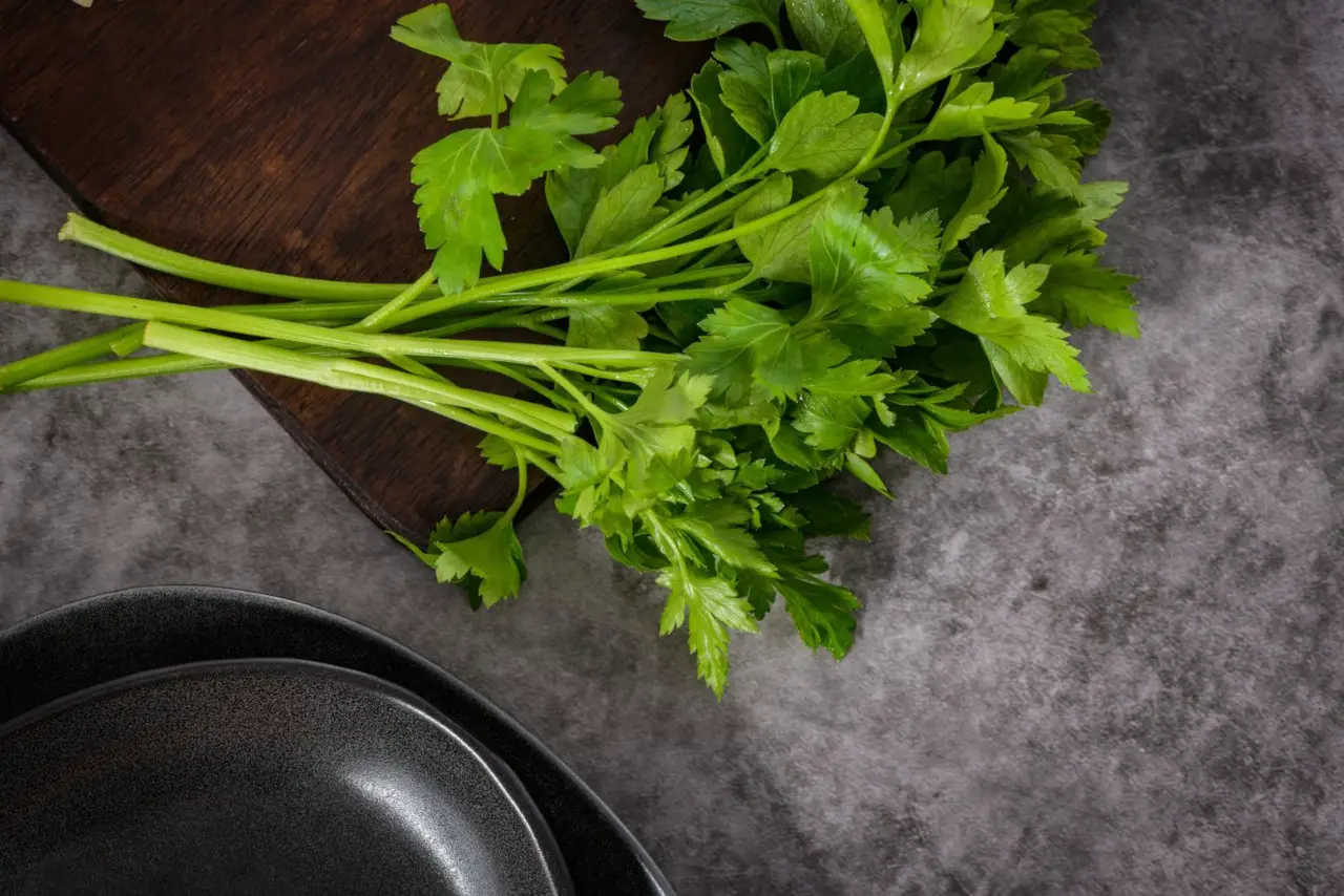 Always harvest parsley the right way